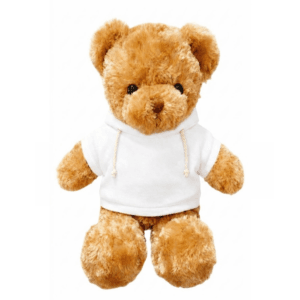 plain teddy bear